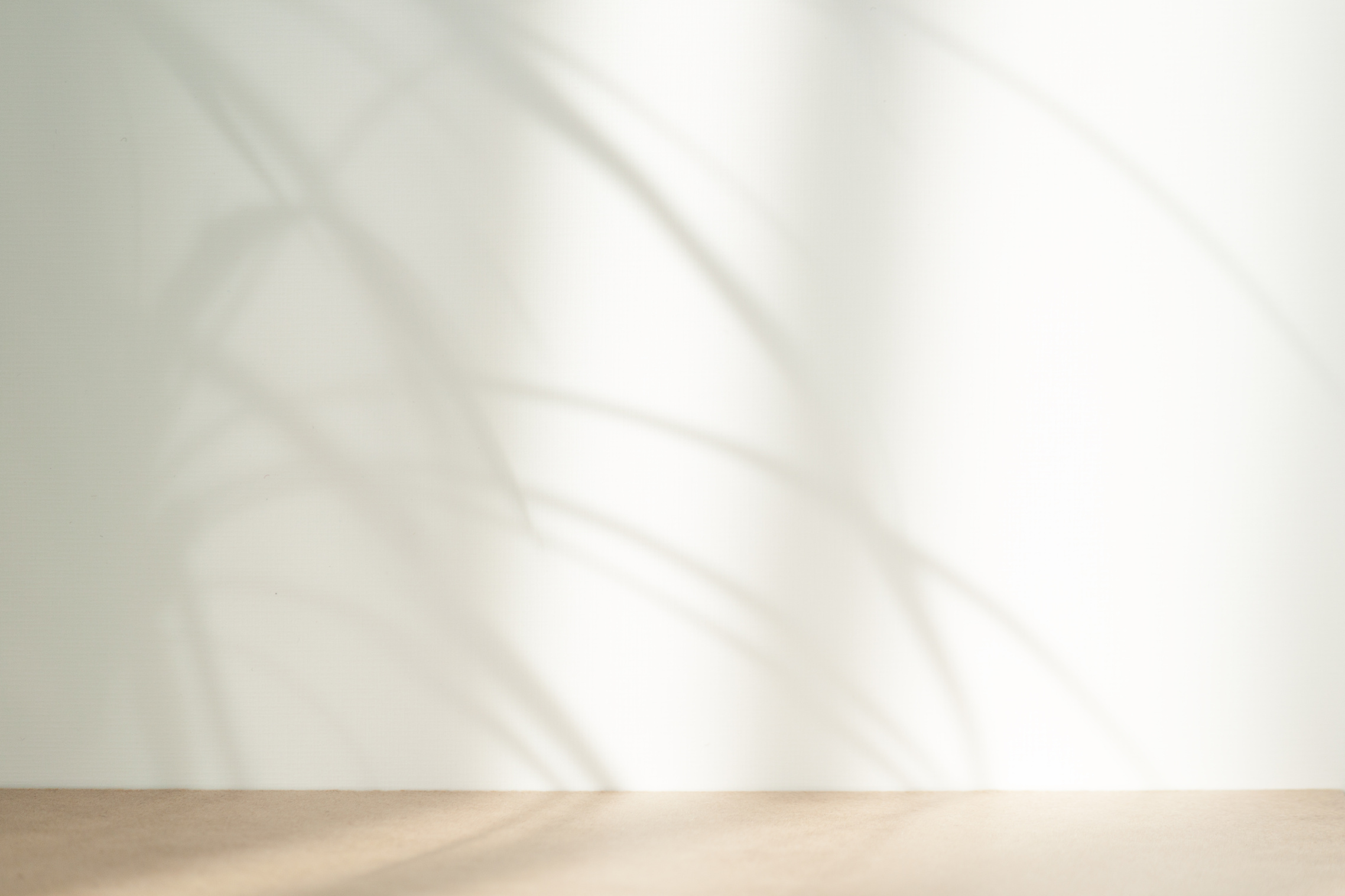 Beige abstract background with tropical plant shadows. Minimal creative concept. Copy space.